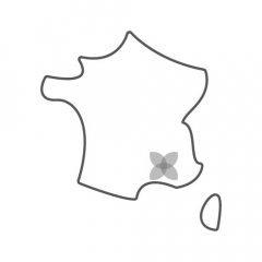 Logo Naos