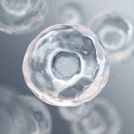 Crema bio sebium hydra